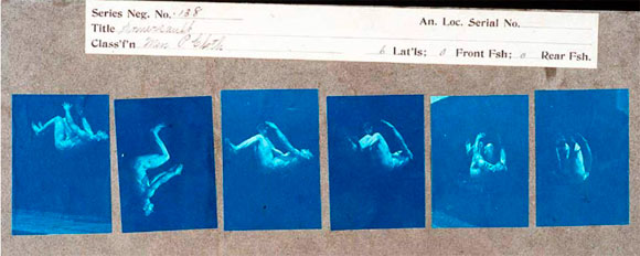 Acr&oacute;bata de Muybridge